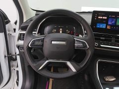 Haval H6 National Trend 1.5T Automatic Champion Edition - ფოტო 15