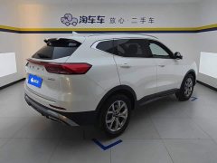 Haval H6 National Trend 1.5T Automatic Champion Edition - ფოტო 3