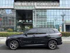 BMW X5 xDrive 30Li M Sport Luxury Night Edition Package - ფოტო 14