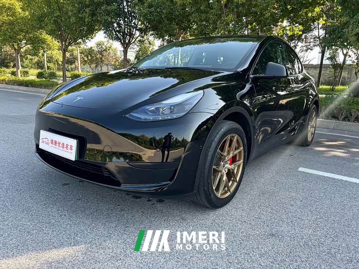 Tesla Model Y Rear-Wheel Drive