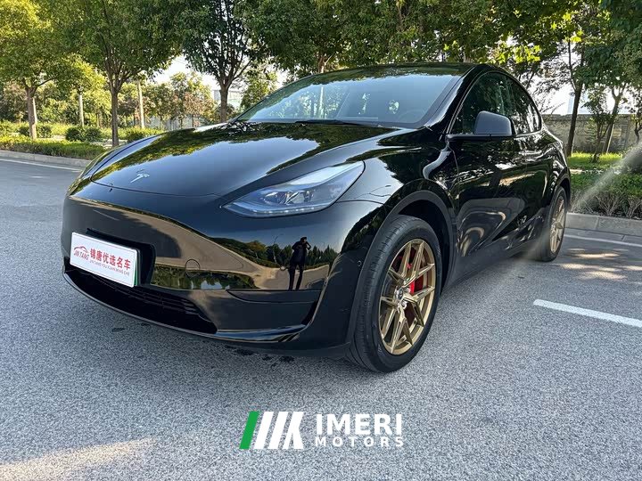 Tesla Model Y Rear-Wheel Drive - ავტომობილი ჩინეთიდან