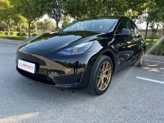 Tesla Model Y Rear-Wheel Drive - ფოტო 1