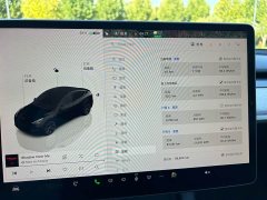 Tesla Model Y Rear-Wheel Drive - ფოტო 5