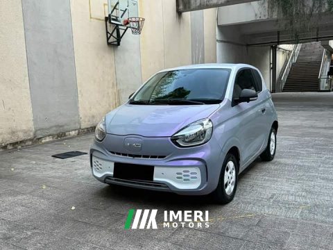 2021 SAIC Corey Wei CLEVER 302km All-Purpose Edition - ავტომობილი ჩინეთიდან