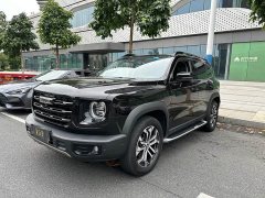 Great Wall Dachshund 2021 1.5T DCT Two-Wheel Drive Malinois Edition - ფოტო 1