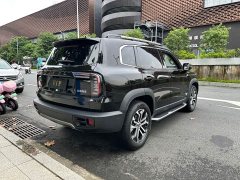 Great Wall Dachshund 2021 1.5T DCT Two-Wheel Drive Malinois Edition - ფოტო 12