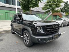 Great Wall Dachshund 2021 1.5T DCT Two-Wheel Drive Malinois Edition - ფოტო 3