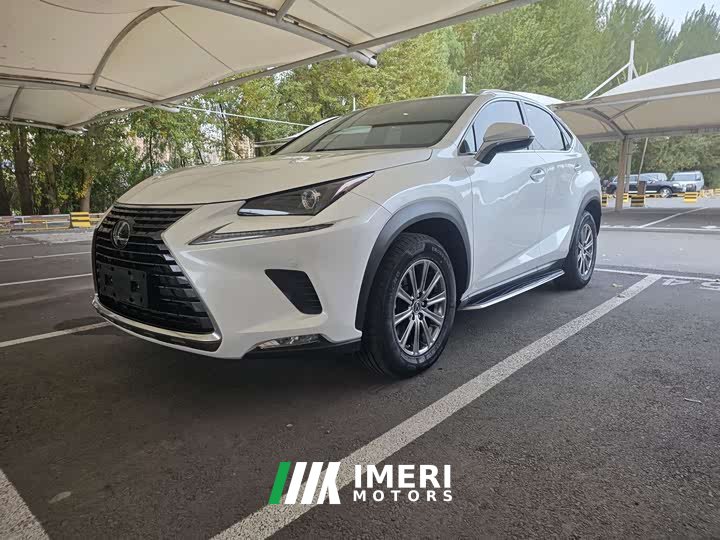 Lexus NX 2020 200 AWD Sharp Luxury Edition National VI - ავტომობილი ჩინეთიდან