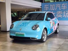 ORA Good Cat 401km Standard Range Luxury LFP - ფოტო 1