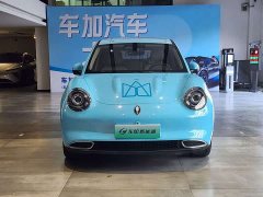 ORA Good Cat 401km Standard Range Luxury LFP - ფოტო 2