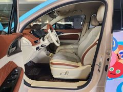 ORA Good Cat 401km Standard Range Luxury LFP - ფოტო 4