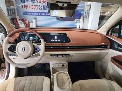 ORA Good Cat 401km Standard Range Luxury LFP - ფოტო 5