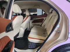 ORA Good Cat 401km Standard Range Luxury LFP - ფოტო 6