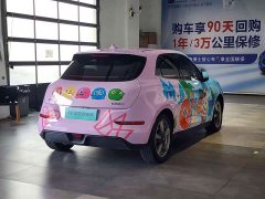 ORA Good Cat 401km Standard Range Luxury LFP - ფოტო 8