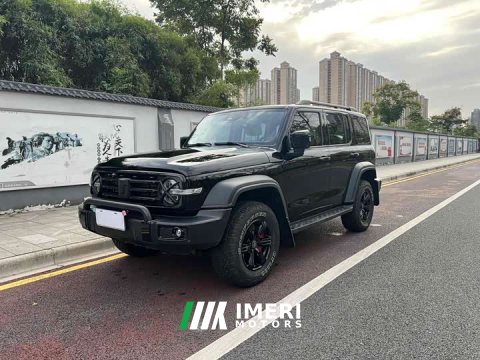 2024 Tank 300 2.0T Conqueror - car from China