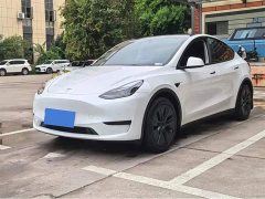 Tesla Model Y 2023 Rear-Wheel Drive - ფოტო 1