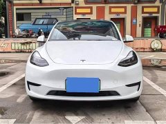 Tesla Model Y 2023 Rear-Wheel Drive - ფოტო 2