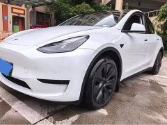 Tesla Model Y 2023 Rear-Wheel Drive - ფოტო 4
