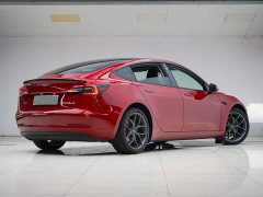 Tesla Model 3 Performance All-Wheel Drive - ფოტო 13