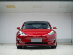 Tesla Model 3 Performance All-Wheel Drive - ფოტო 2