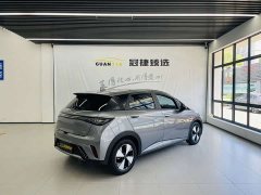 BYD Dolphin 420km Fashion Edition - фото 16