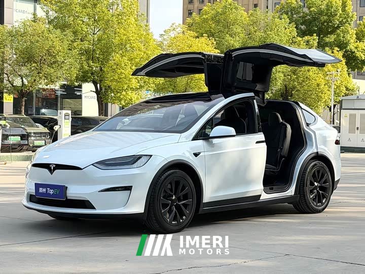 Tesla Model X Dual Motor All-Wheel Drive - ავტომობილი ჩინეთიდან