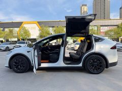 Tesla Model X Dual Motor All-Wheel Drive - ფოტო 12