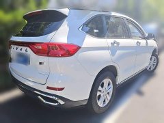 Haval M6 2021 PLUS 1.5T DCT Comfort Edition - ფოტო 4