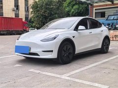 Tesla Model Y Rear-Wheel Drive - ფოტო 1