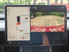 Tesla Model Y Rear-Wheel Drive - ფოტო 12