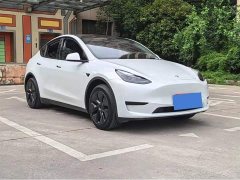 Tesla Model Y Rear-Wheel Drive - ფოტო 3