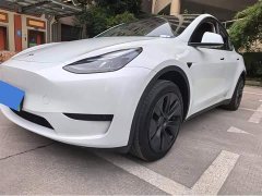 Tesla Model Y Rear-Wheel Drive - ფოტო 7