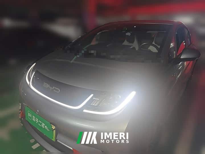 BYD Dolphin 405km Freedom Edition - ავტომობილი ჩინეთიდან