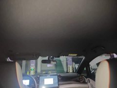 BYD Dolphin 405km Freedom Edition - ფოტო 14