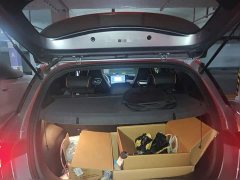 BYD Dolphin 405km Freedom Edition - ფოტო 15