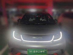 BYD Dolphin 405km Freedom Edition - ფოტო 2