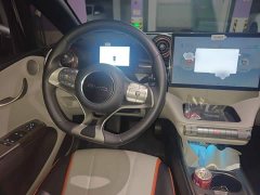 BYD Dolphin 405km Freedom Edition - ფოტო 6