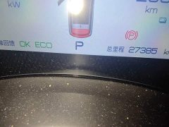 BYD Dolphin 405km Freedom Edition - ფოტო 8