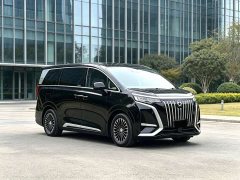 Denza BYD Denza D9 2024 EV 620 Premium Edition - ფოტო 1