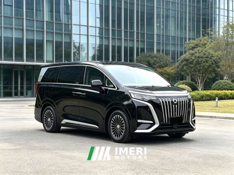 2025 Denza BYD Denza D9 2024 EV 620 Premium Edition - ავტომობილი ჩინეთიდან