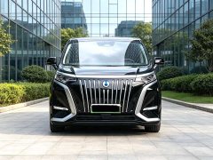 Denza BYD Denza D9 2024 EV 620 Premium Edition - ფოტო 2