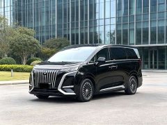 Denza BYD Denza D9 2024 EV 620 Premium Edition - ფოტო 3