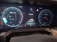 Tank 300 Off-Road Edition 2.0T Conqueror - ფოტო 14