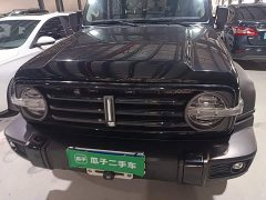 Tank 300 Off-Road Edition 2.0T Conqueror - ფოტო 2