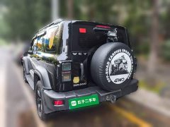 Tank 300 Off-Road Edition 2.0T Conqueror - ფოტო 5