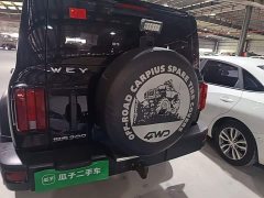 Tank 300 Off-Road Edition 2.0T Conqueror - ფოტო 6