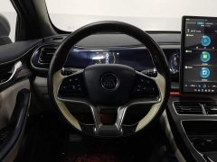 BYD Qin Plus DM-i 120KM Flagship - ფოტო 11