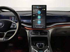 BYD Qin Plus DM-i 120KM Flagship - ფოტო 12