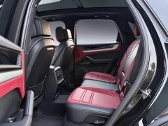 Porsche Cayenne 3.0T - ფოტო 19