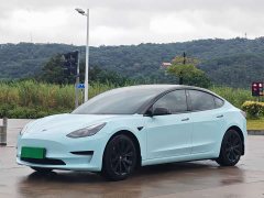 Tesla Model 3 Standard Range RWD Upgrade 3D6 - ფოტო 1
